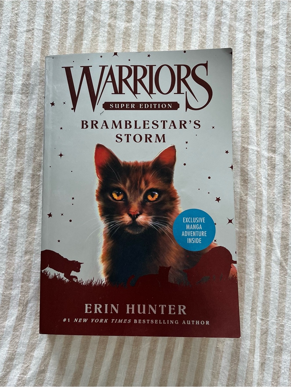 Warriors: BrambleStar's Storm - Hunter (Paperback)